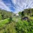  Terreno for sale in Espírito Santo, Ilha Trindade, Espírito Santo