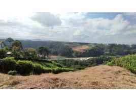  Terreno (Parcela) en venta en Pereira, Risaralda, Pereira