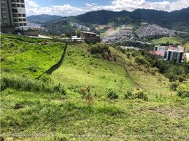  Terreno (Parcela) en venta en Manizales, Caldas, Manizales