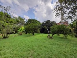  Land for sale in Palmira, Valle Del Cauca, Palmira