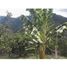 5 Bedroom House for sale in Giron, Santander, Giron
