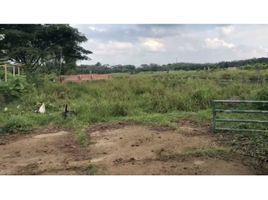  Terreno (Parcela) en venta en Jamundi, Valle Del Cauca, Jamundi