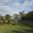  Land for sale in Ilha Trindade Espirito Santo, Ilha Trindade, Espirito Santo