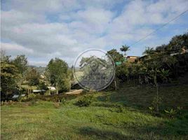  Terreno for sale in Espírito Santo, Ilha Trindade, Espírito Santo