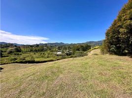  Terreno (Parcela) en venta en Rionegro, Antioquia, Rionegro