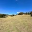  Land for sale in Rionegro, Antioquia, Rionegro