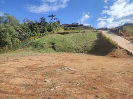  Terreno (Parcela) en venta en El Carmen De Viboral, Antioquia, El Carmen De Viboral