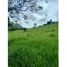 Studio Villa for sale in La Mesa, Cundinamarca, La Mesa