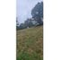  Land for sale in Valle Del Cauca, Jamundi, Valle Del Cauca