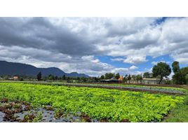 5 Schlafzimmer Villa zu verkaufen in Tenjo, Cundinamarca, Tenjo