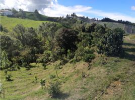  Terreno (Parcela) en venta en El Carmen De Viboral, Antioquia, El Carmen De Viboral