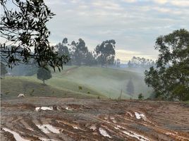  Grundstück zu verkaufen in Rionegro, Antioquia, Rionegro