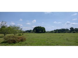  Land for sale in Jamundi, Valle Del Cauca, Jamundi