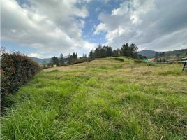  Terreno (Parcela) en venta en El Carmen De Viboral, Antioquia, El Carmen De Viboral