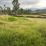  Terreno (Parcela) en venta en El Carmen De Viboral, Antioquia, El Carmen De Viboral