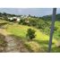  Land for sale in Armenia, Quindio, Armenia