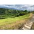  Land for sale in Armenia, Quindio, Armenia