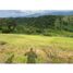  Land for sale in Armenia, Quindio, Armenia