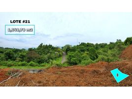  Terreno (Parcela) en venta en Pereira, Risaralda, Pereira