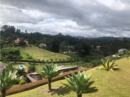 Terrain à vendre à Rionegro, Antioquia, Rionegro