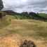 Terrain à vendre à Rionegro, Antioquia, Rionegro