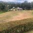 Terrain à vendre à Rionegro, Antioquia, Rionegro