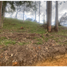 Terrain à vendre à Medellin, Antioquia, Medellin