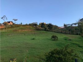  Terreno (Parcela) en venta en El Carmen De Viboral, Antioquia, El Carmen De Viboral