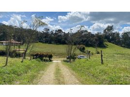  Terreno (Parcela) en venta en El Carmen De Viboral, Antioquia, El Carmen De Viboral