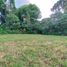  Land for sale in Pereira, Risaralda, Pereira