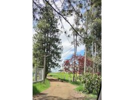  Land for sale in Popayan, Cauca, Popayan