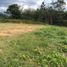  Terreno (Parcela) en venta en Antioquia, Santa Fe De Antioquia, Antioquia