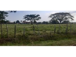  Land for sale in Cali, Valle Del Cauca, Cali