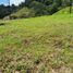  Grundstück zu verkaufen in La Ceja, Antioquia, La Ceja, Antioquia