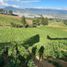 4 Schlafzimmer Villa zu verkaufen in San Juan De Pasto, Narino, San Juan De Pasto, Narino