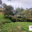  Land for sale in La Ceja, Antioquia, La Ceja