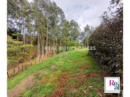  Terreno (Parcela) en venta en La Ceja, Antioquia, La Ceja