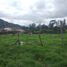  Land for sale in Zipaquira, Cundinamarca, Zipaquira