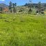  Land for sale in La Ceja, Antioquia, La Ceja