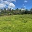  Land for sale in La Ceja, Antioquia, La Ceja