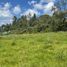  Land for sale in La Ceja, Antioquia, La Ceja