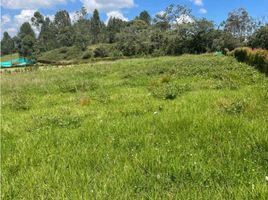  Land for sale in La Ceja, Antioquia, La Ceja