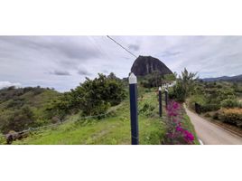  Land for sale in Guatape, Antioquia, Guatape