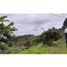  Land for sale in Guatape, Antioquia, Guatape