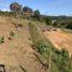  Land for sale in San Vicente, Antioquia, San Vicente