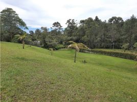  Terreno (Parcela) en venta en Rionegro, Antioquia, Rionegro