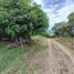  Terrain for sale in Anapoima, Cundinamarca, Anapoima