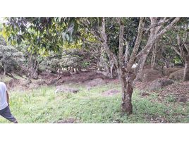  Land for sale in Anapoima, Cundinamarca, Anapoima