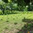  Land for sale in Tubara, Atlantico, Tubara