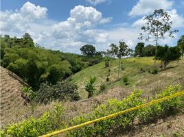  Terreno (Parcela) en venta en Ulloa, Valle Del Cauca, Ulloa